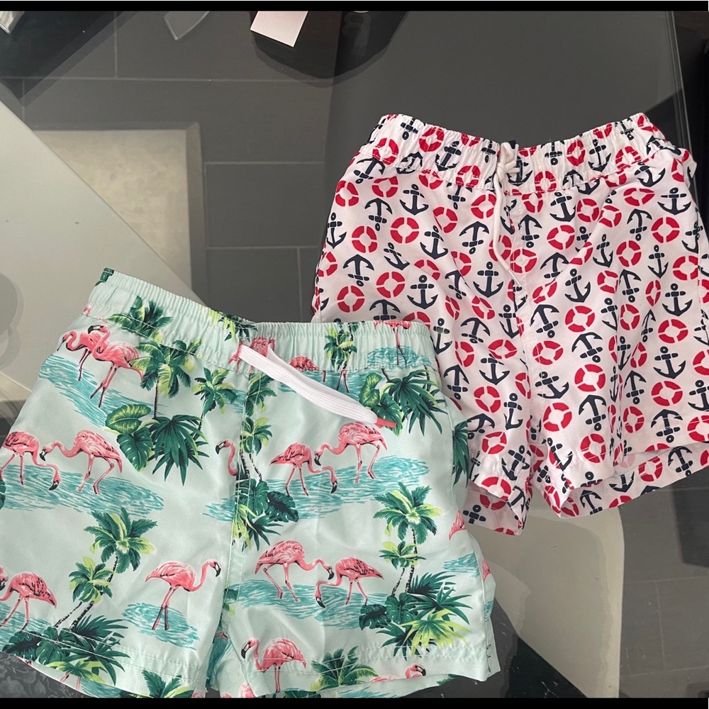 Janie & Jack Toddler Boys Bathing Suit